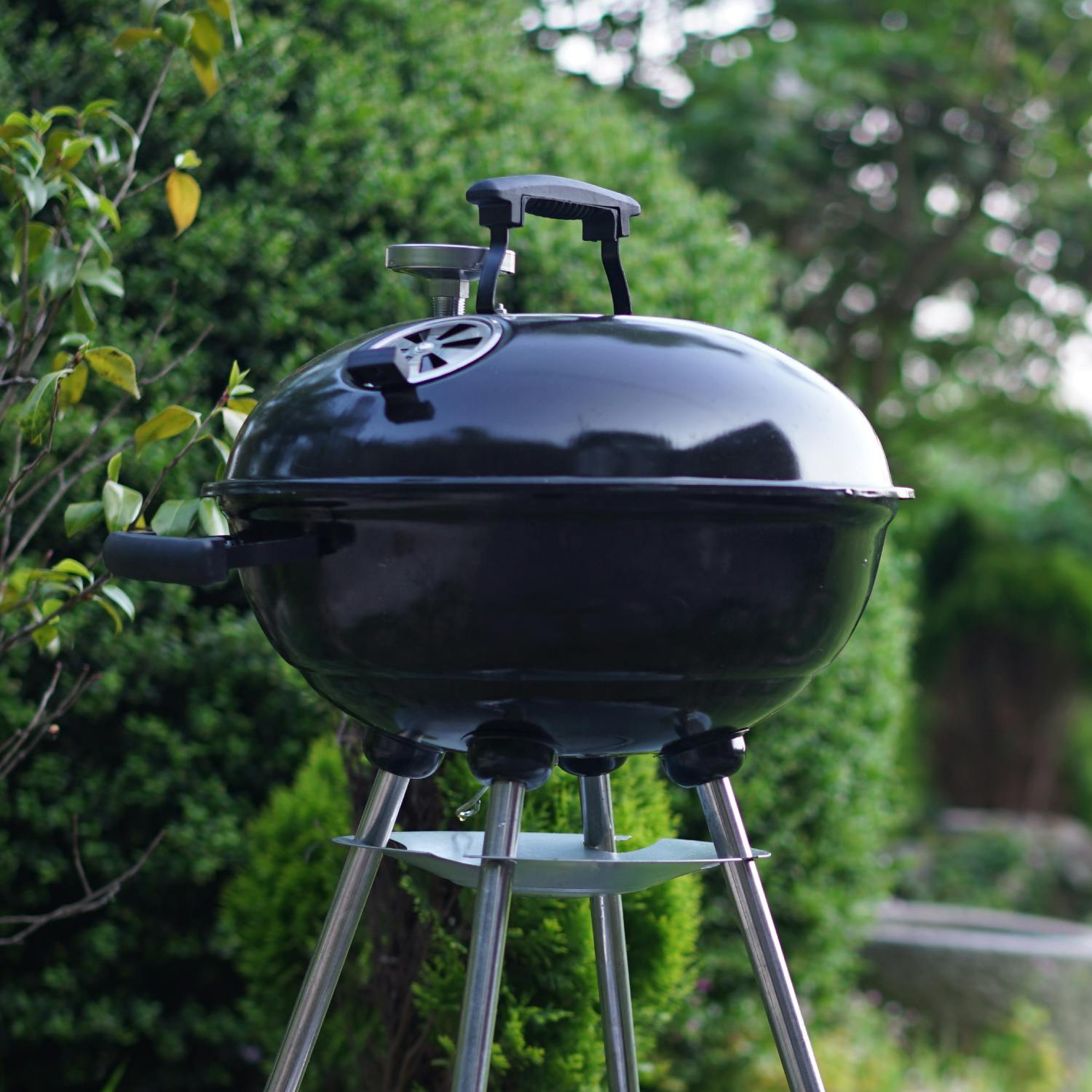 Should you barbeque your turkey? episode artwork