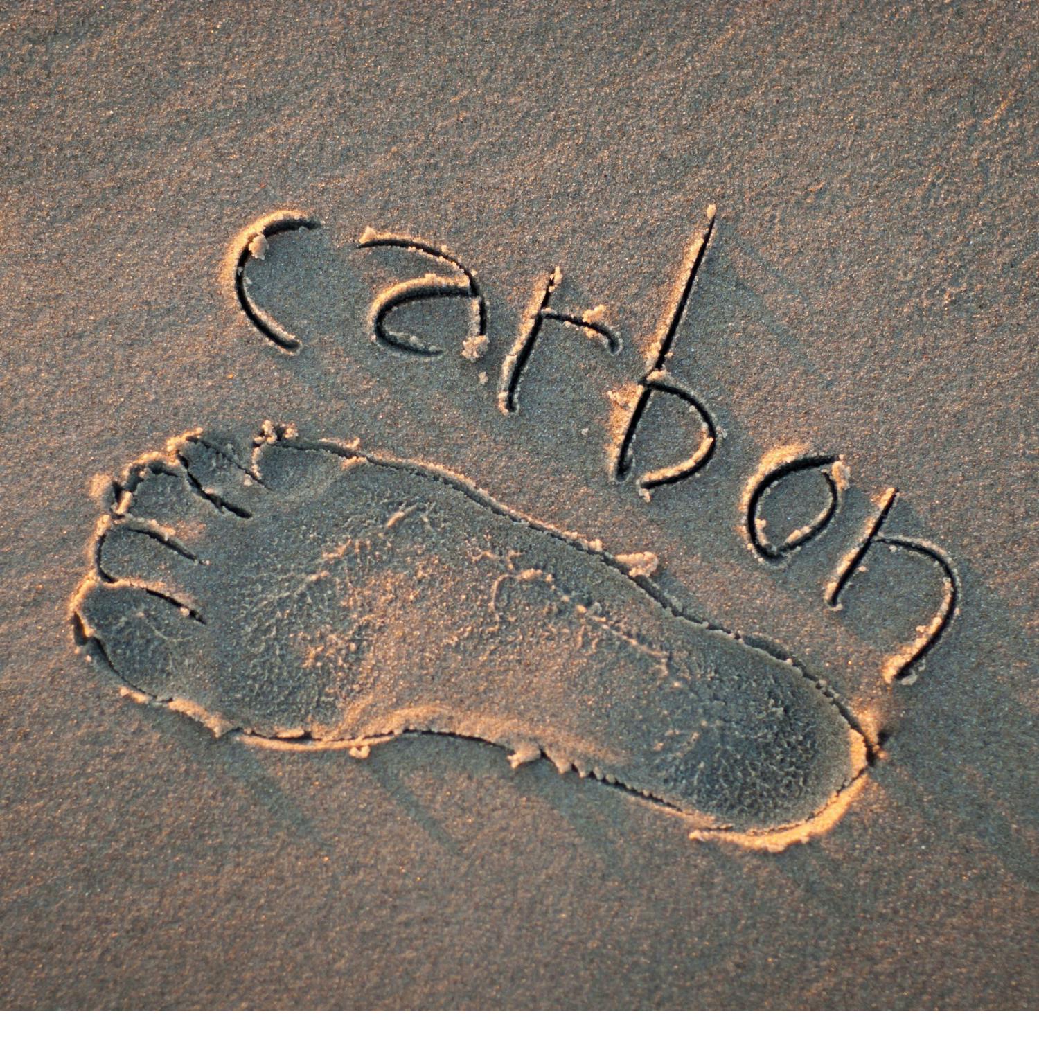 Going Green: How to measure your carbon impact