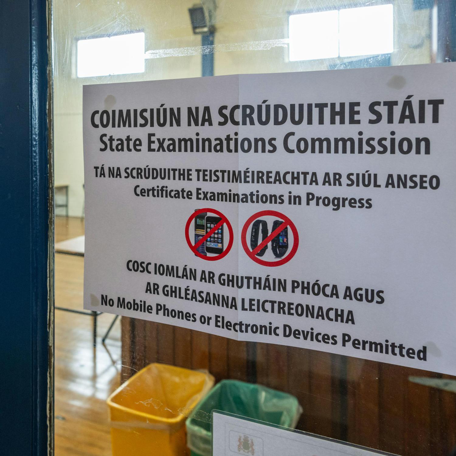 Leaving Cert results are out - what now? Image