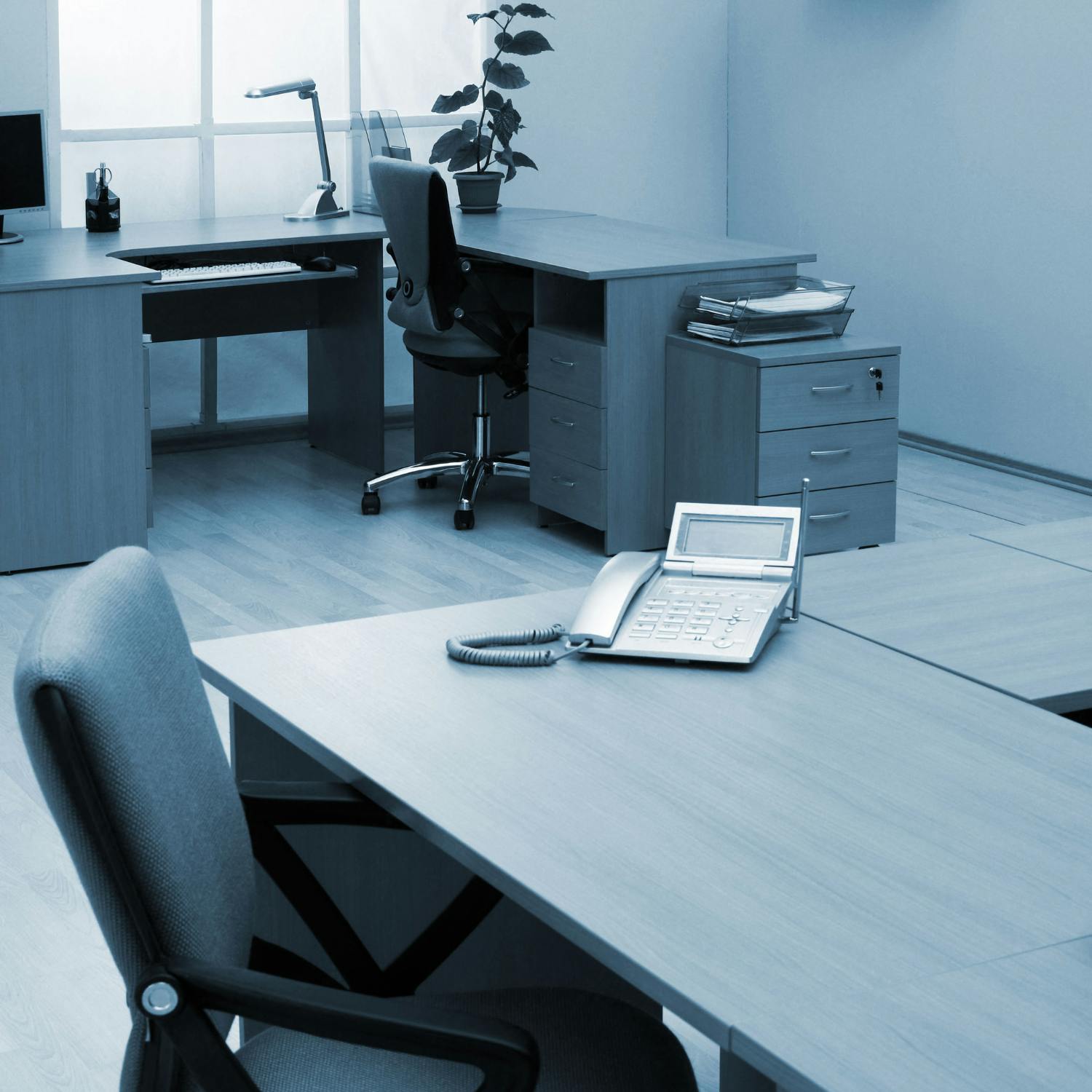 The business of the cold calling service Align