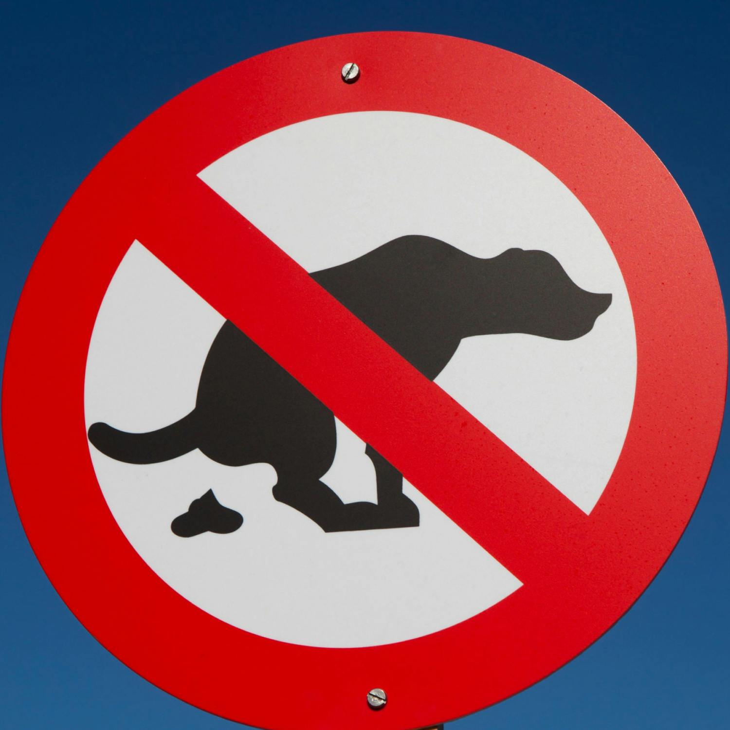 Are Cork dog poo posters a bad influence? - Henry McKean Reports