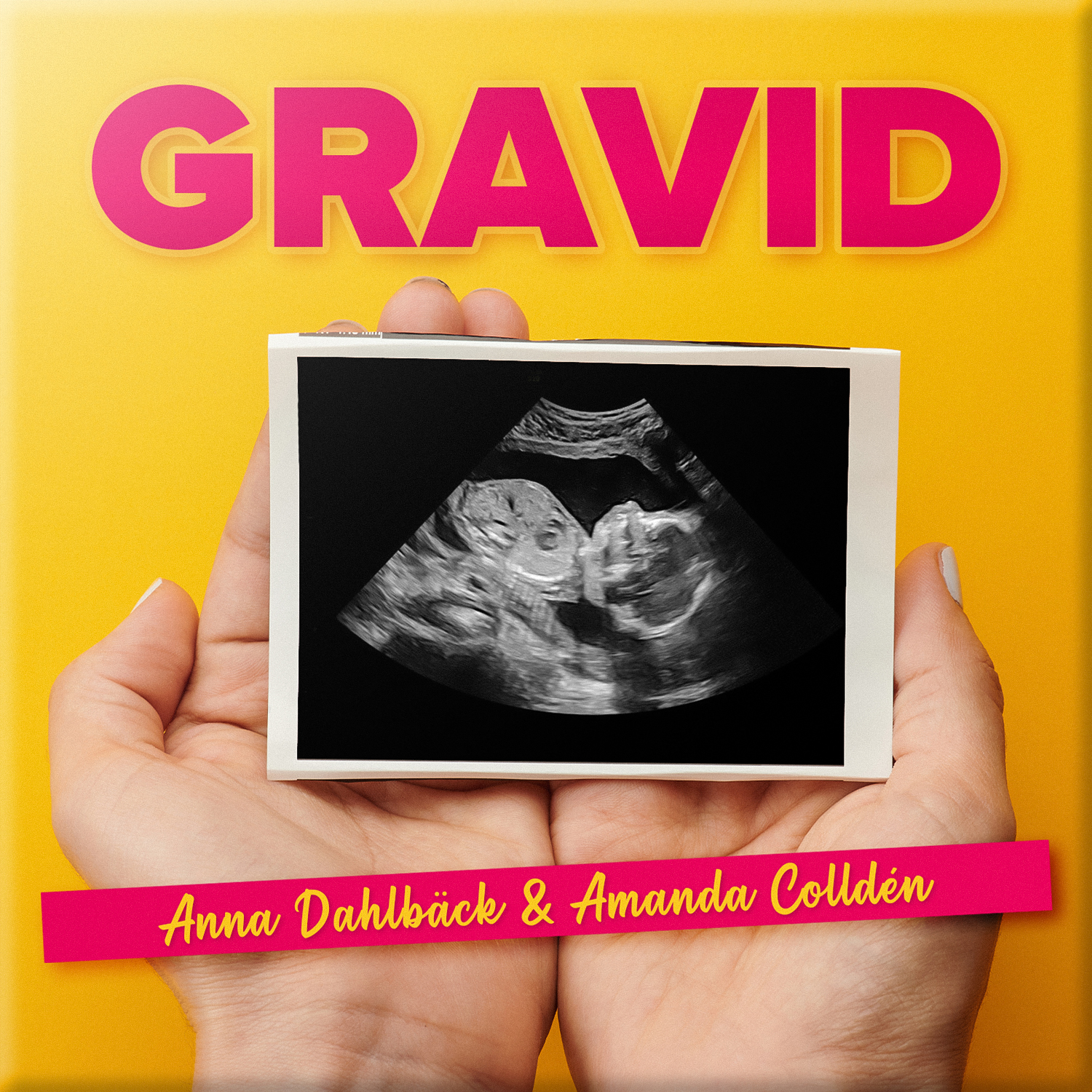 Gravid