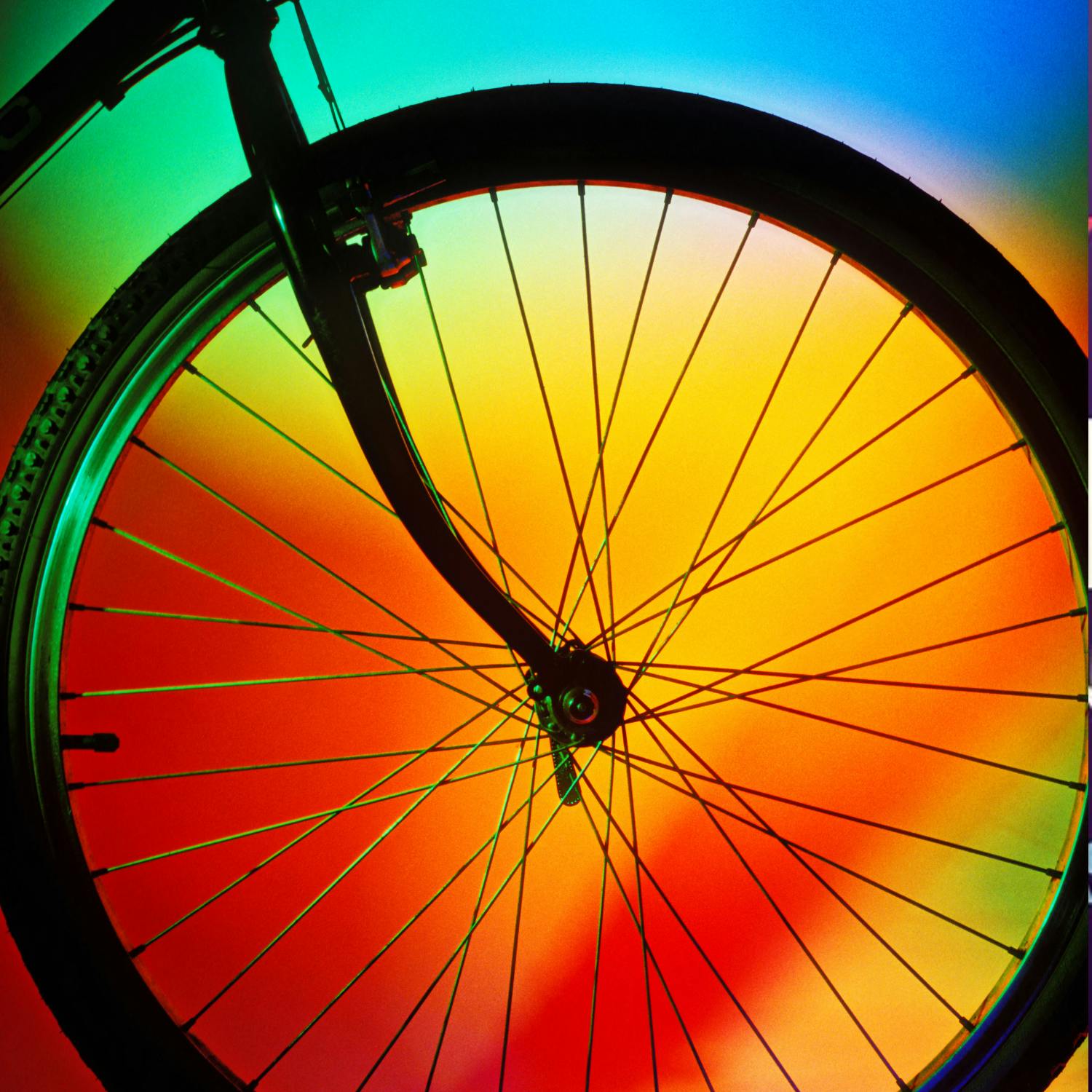 What needs to be done to keep bikes safe? What needs to be done to keep bikes safe?