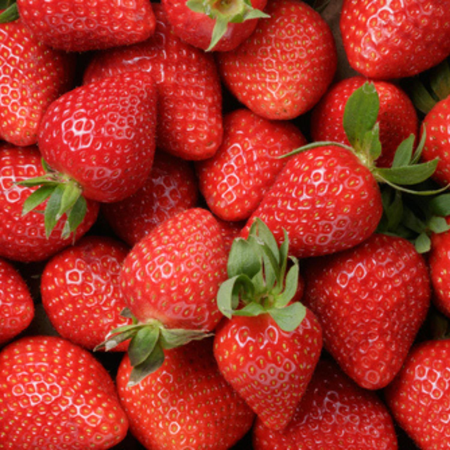 Time to plant those summer fruits