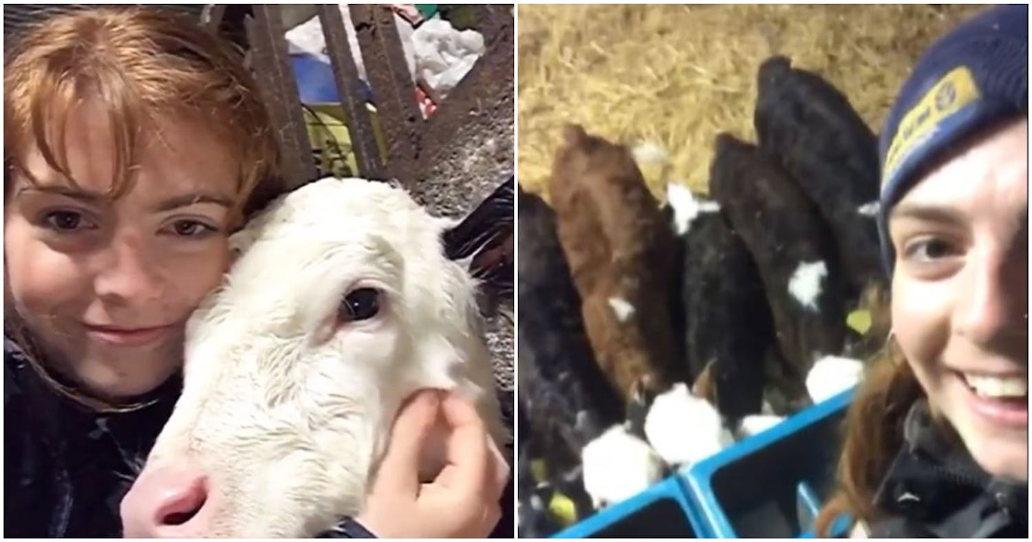 This Young Kilkenny Farmer And Her Calves Have Taken Over Tik-Tok episode artwork