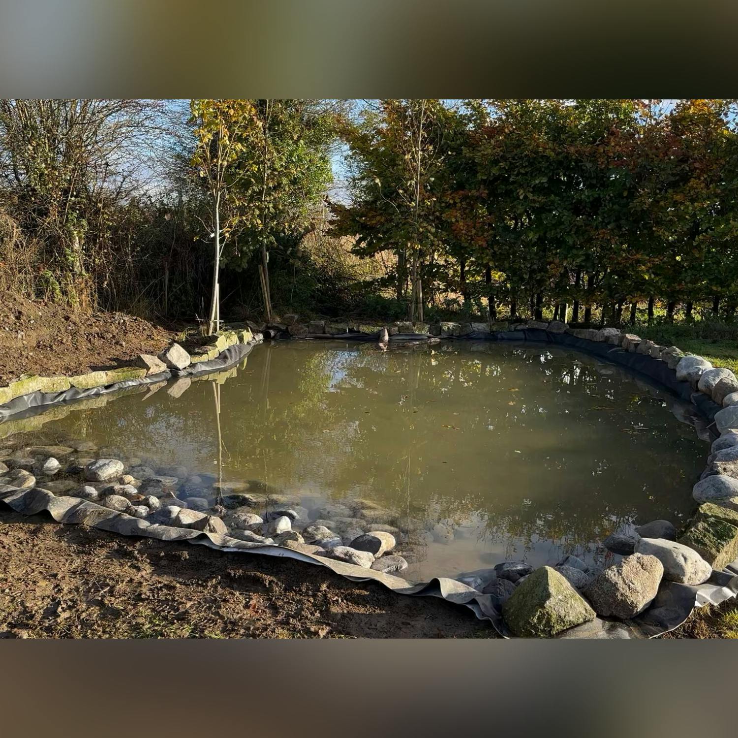 Should you build a pond in your garden? episode artwork