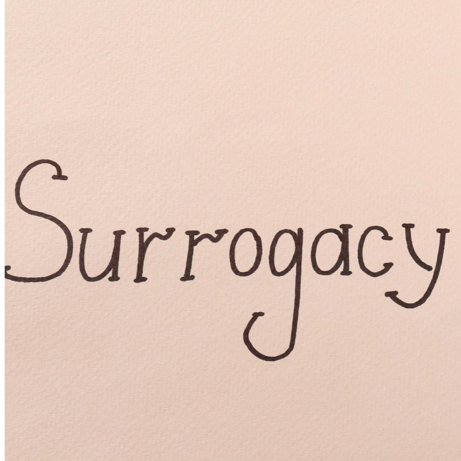 The surrogacy case that could upend the system