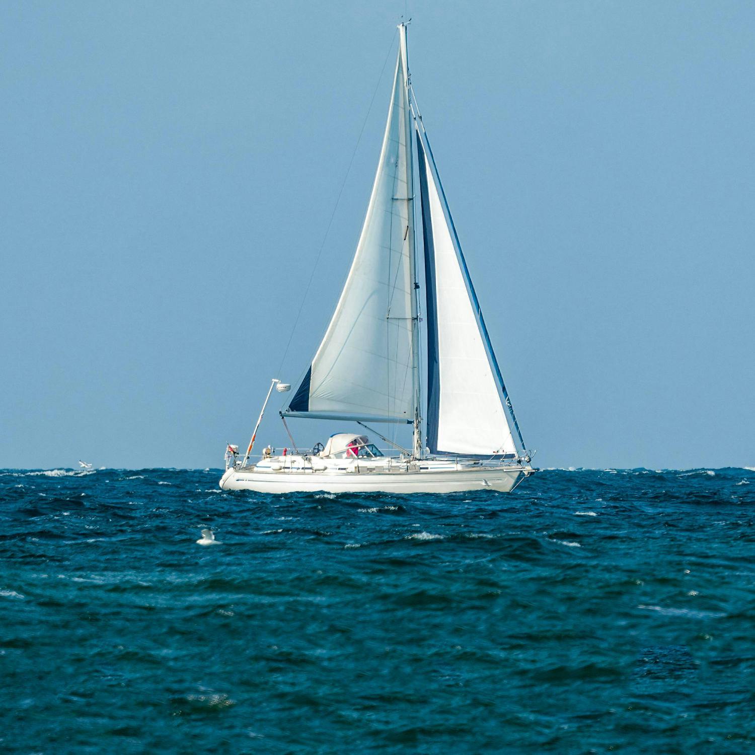 Pamela Lee on life as a Professional Offshore Sailor episode artwork