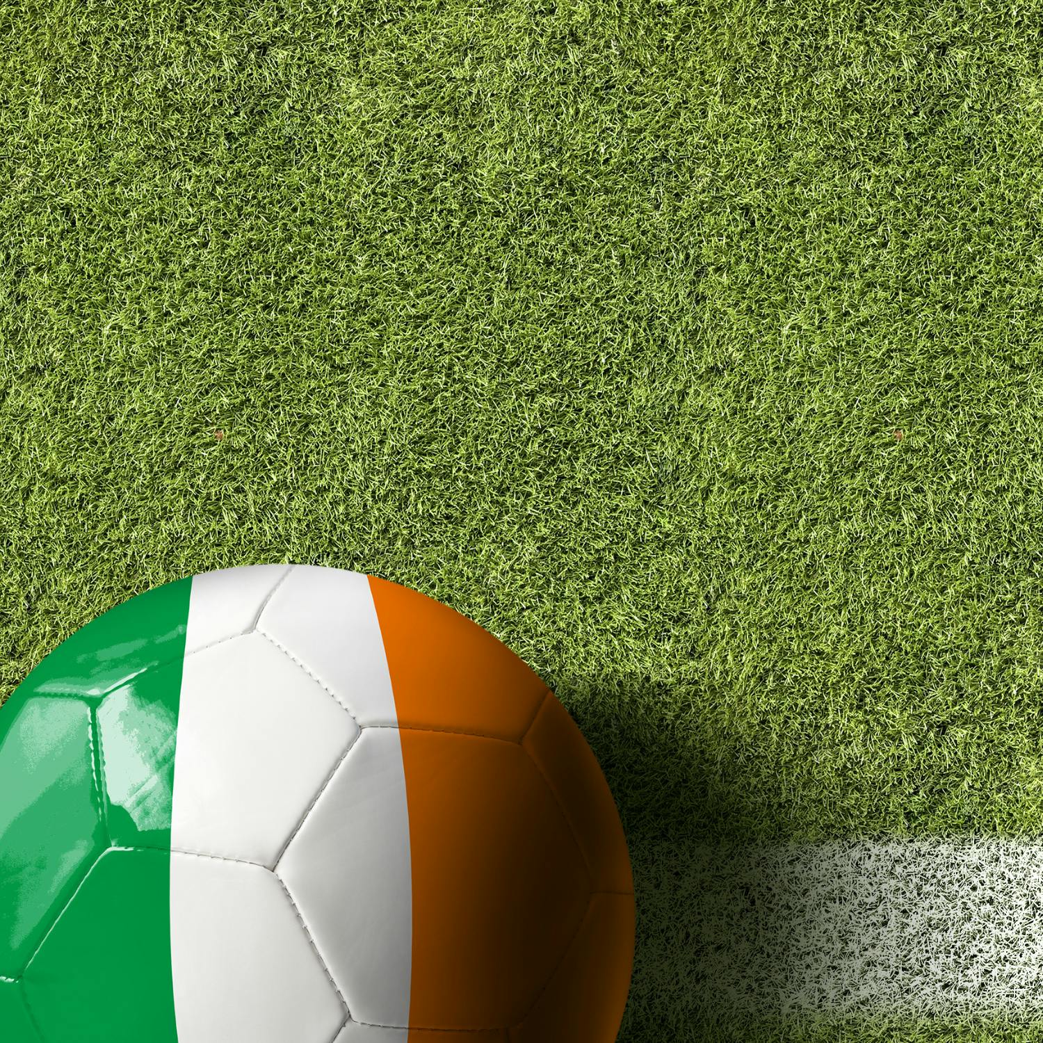 The FAI will be meeting with the Oireachtas today