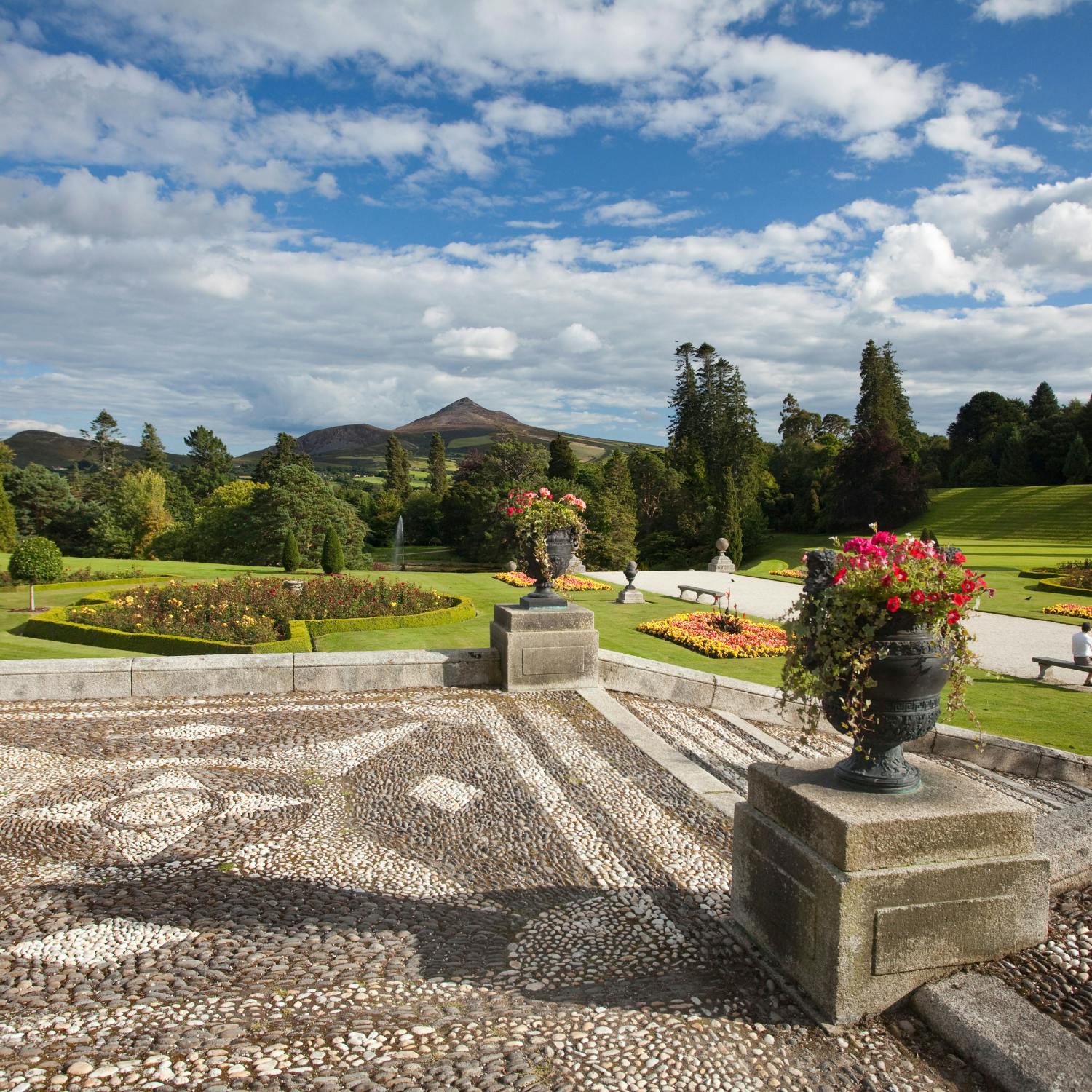 Garden stories with Diarmuid Gavin