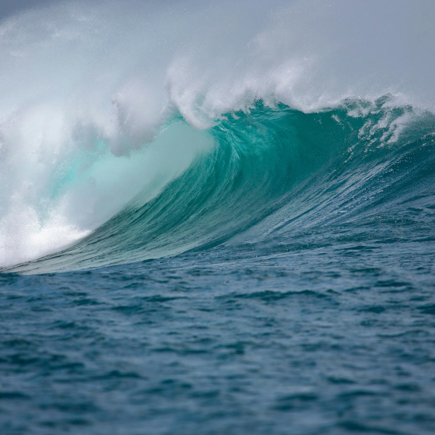 The world’s oceans hit their highest average temperature ever