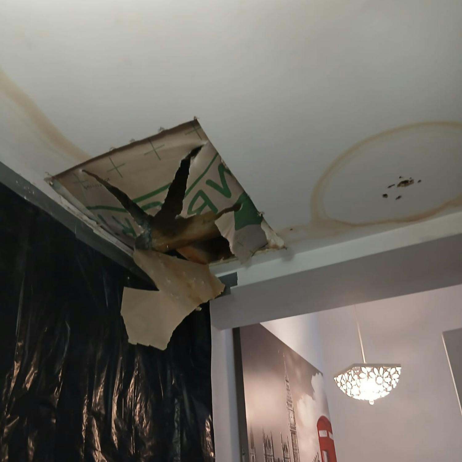 Reports of holes and leaks in new homes in Dolphins Barn