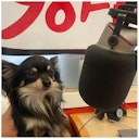 98FM's Big Breakfast with Rebecca and Brendan