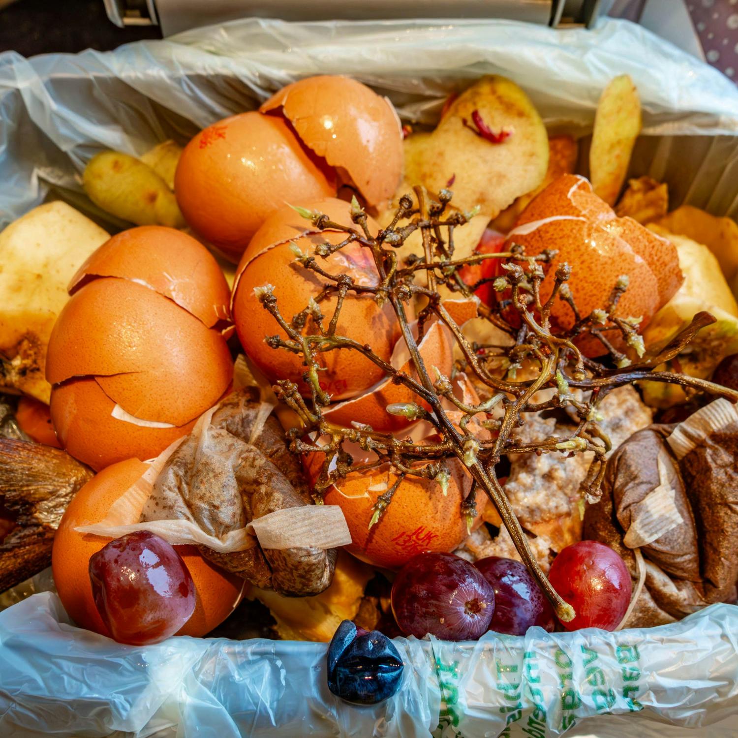 How do we tackle food waste in Ireland?