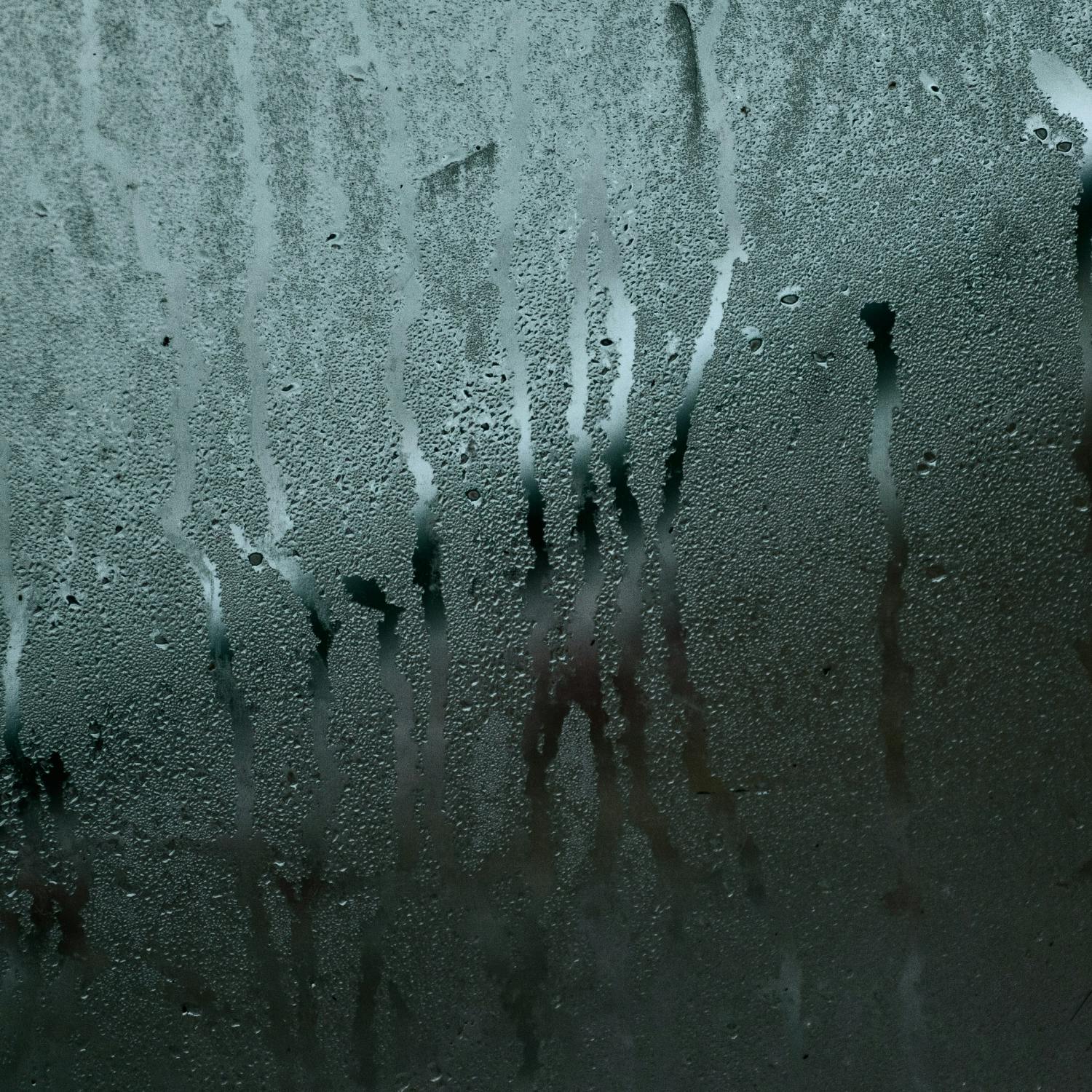 Dealing with condensation season episode artwork