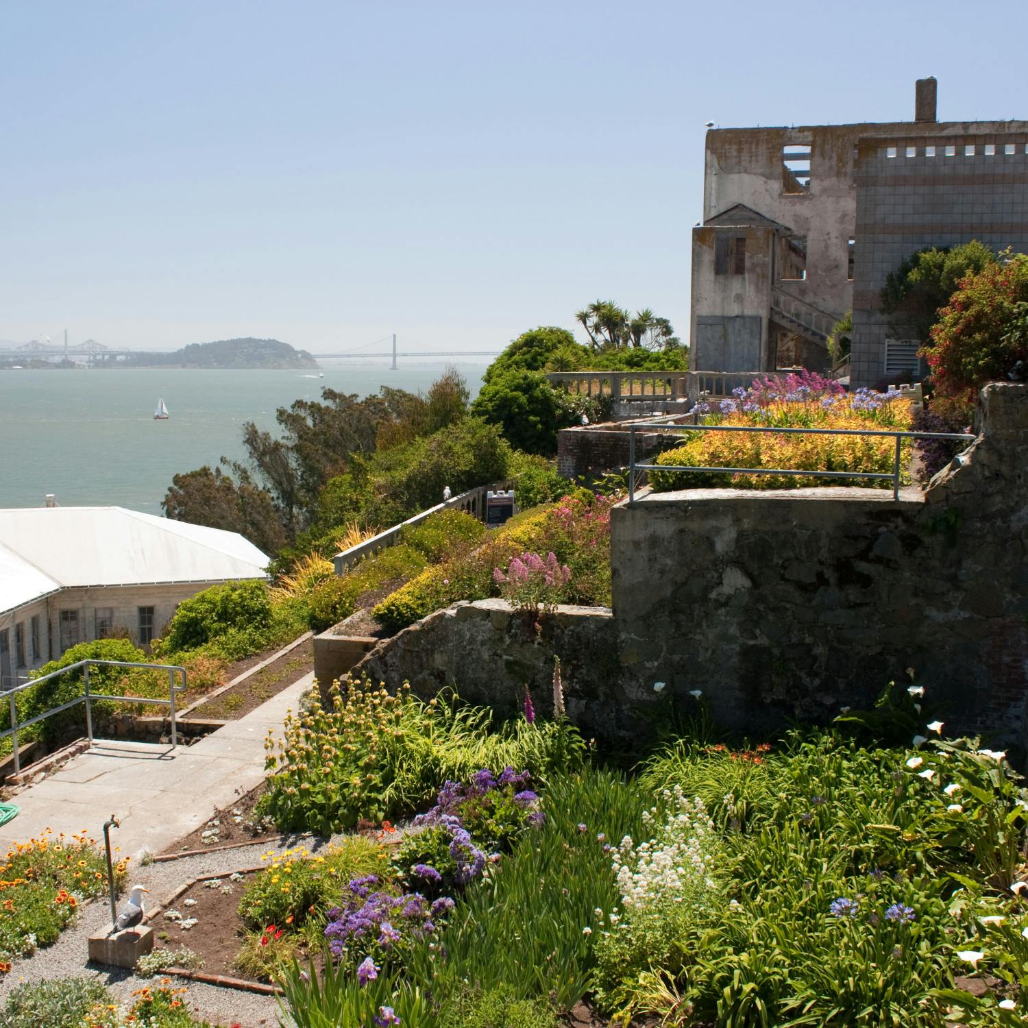 The gardens of Alcatraz