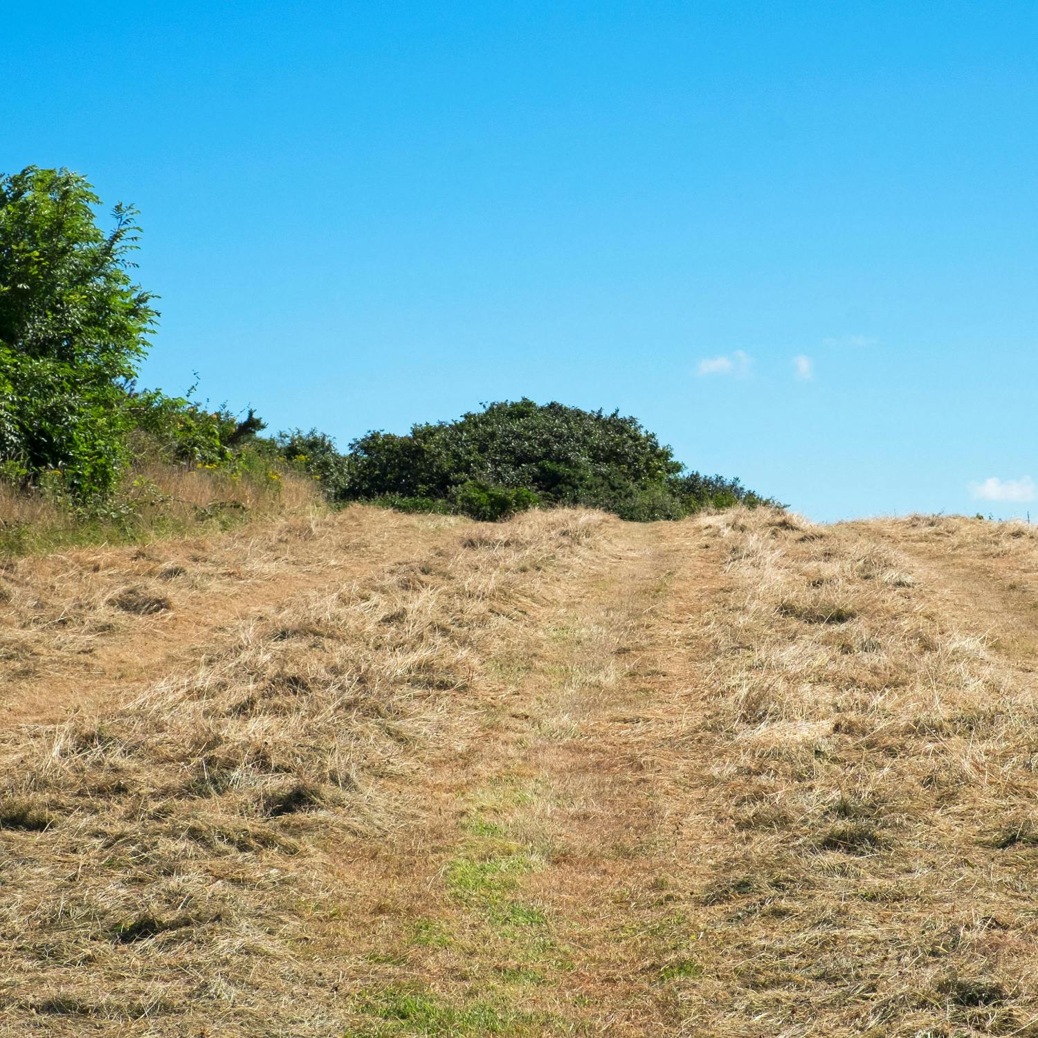 What impact does the current weather have on farmers?