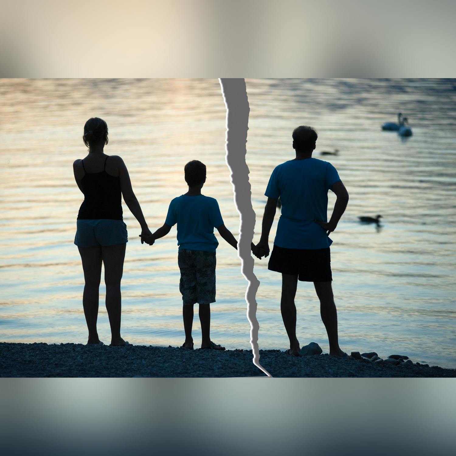 New national survey to help schools support parental separation & family change episode artwork