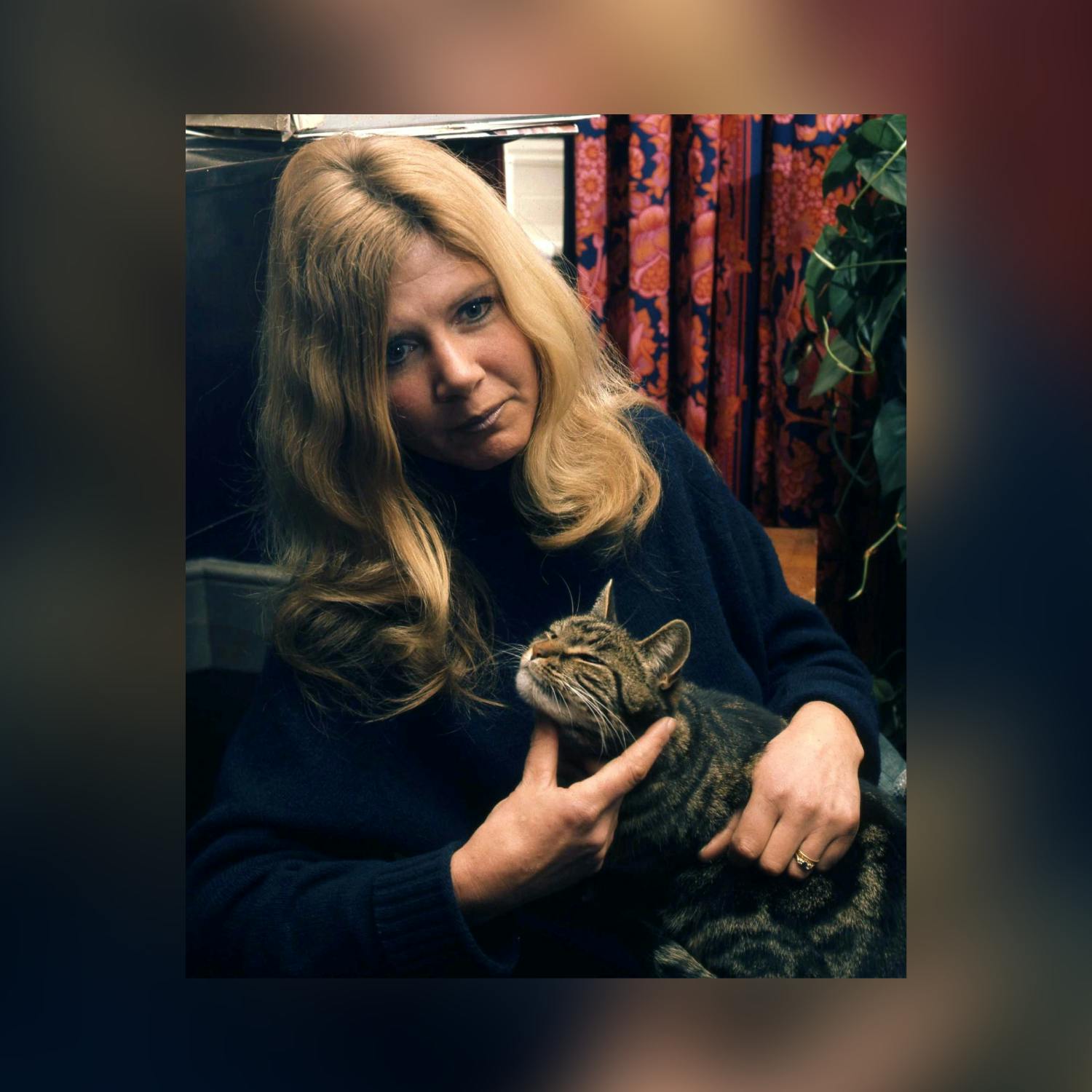 Remembering author Jilly Cooper