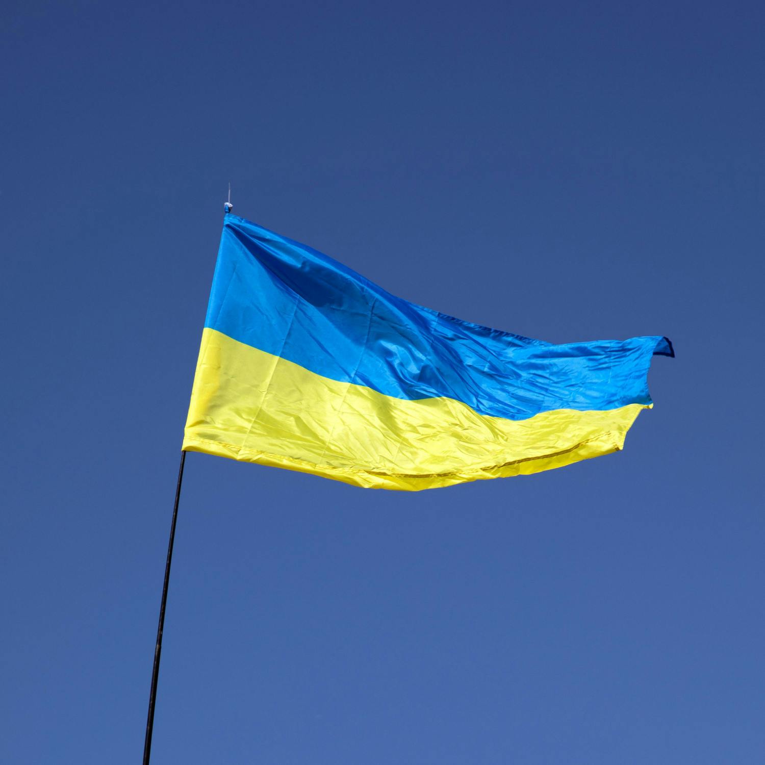 Should Ukraine have wartime elections?