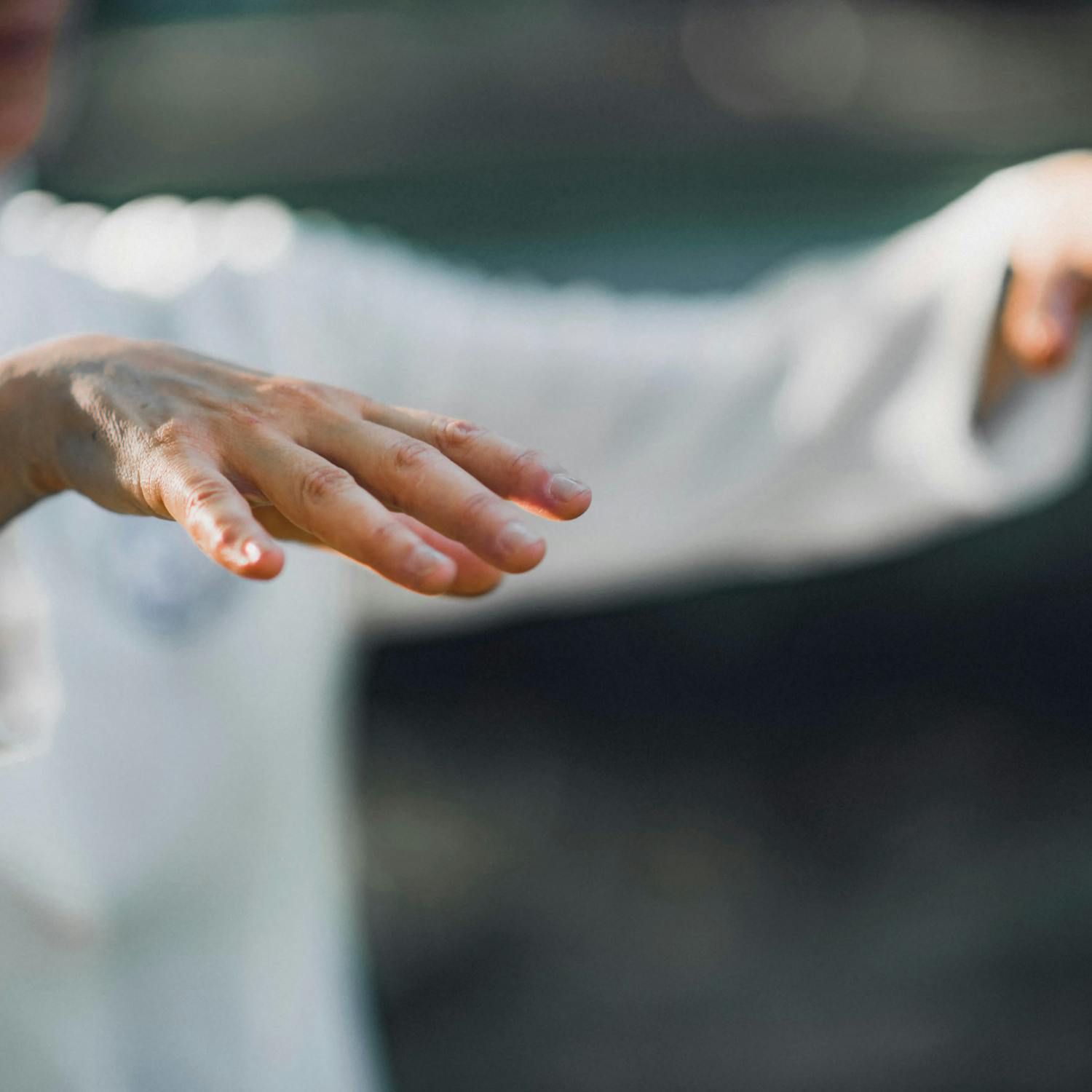 The practice of Tai Chi explained