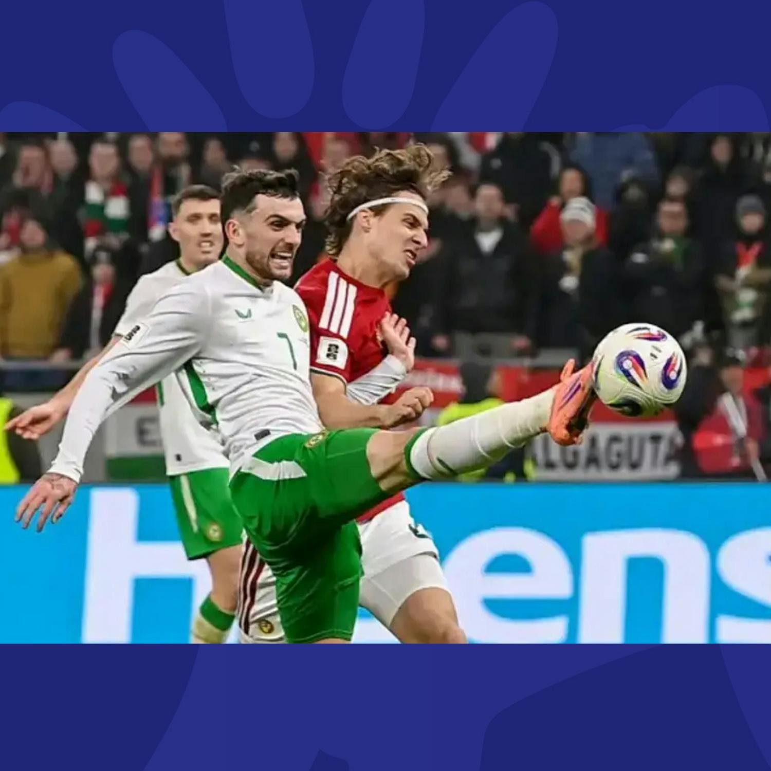 Troy Parrot Appreciation Day!