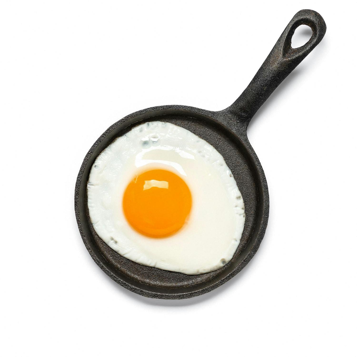 College Survival Guide: Cooking & Cleaning