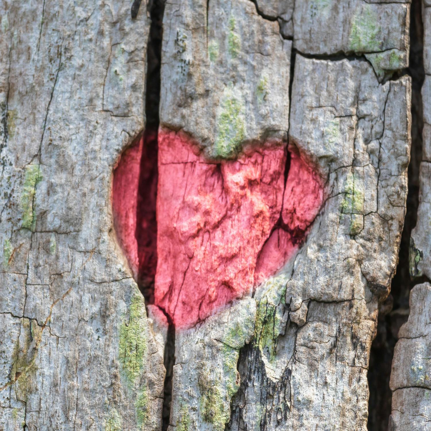 Can someone be taught empathy? - Josh Crosbie Reports