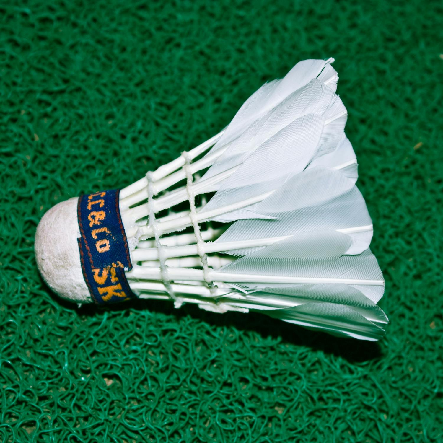 A look ahead to the weekend of sport