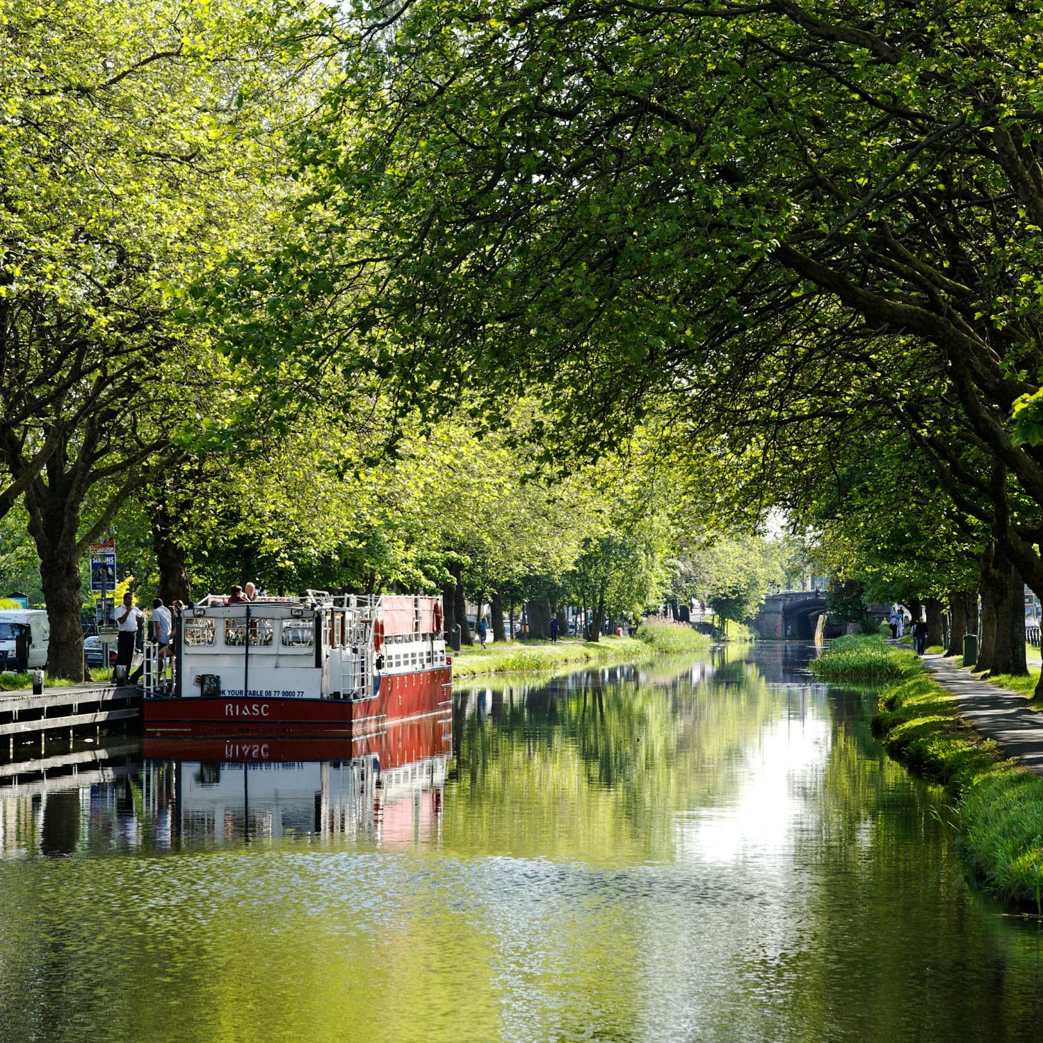 The plans to tackle litter at the Grand Canal episode artwork