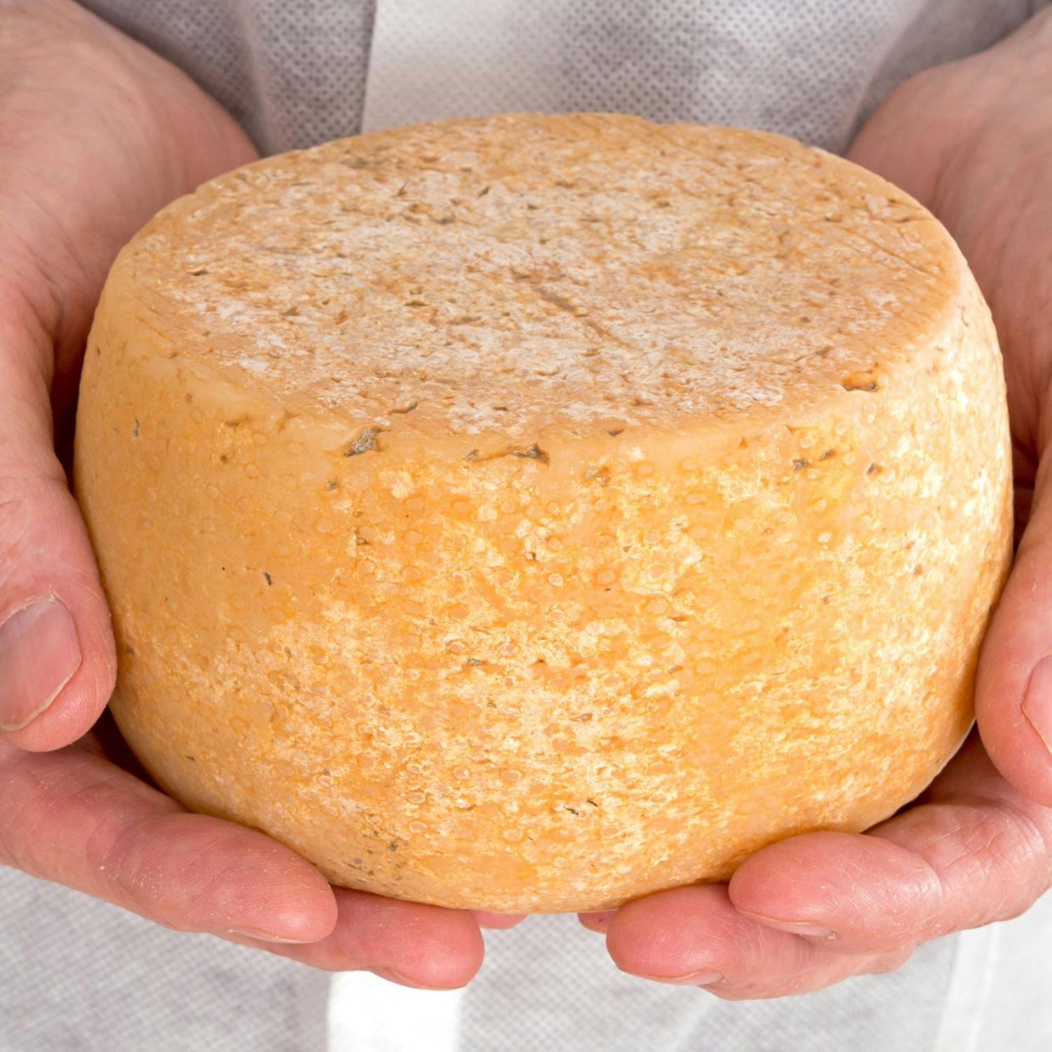 Summer Food Series: Cheese Producers