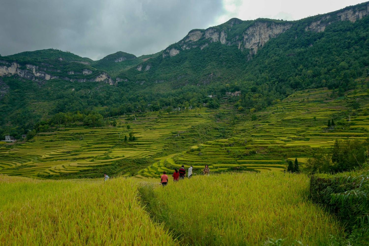 Farming: Important to check in on Vulnerable Neighbours