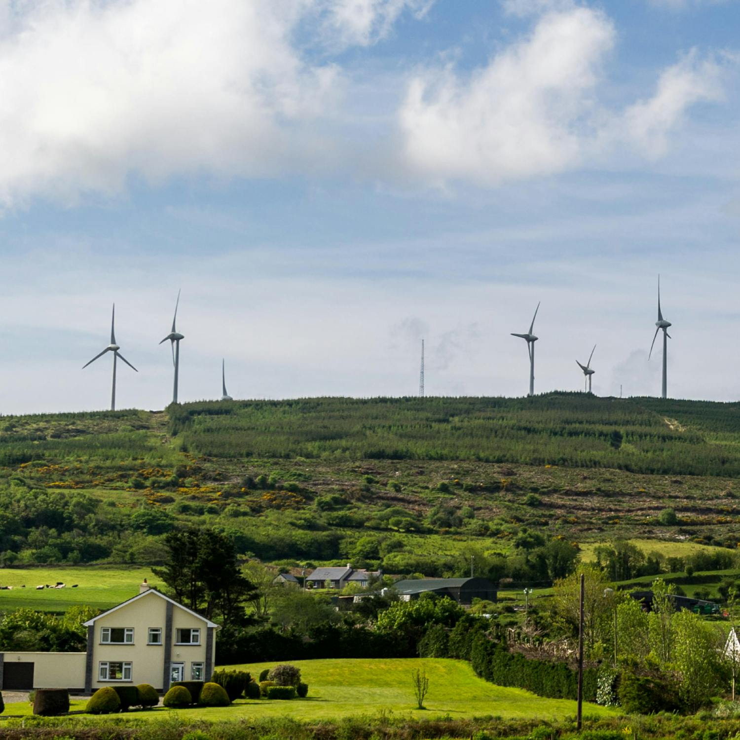 15% of Irish wind energy thrown away - what should be done?
