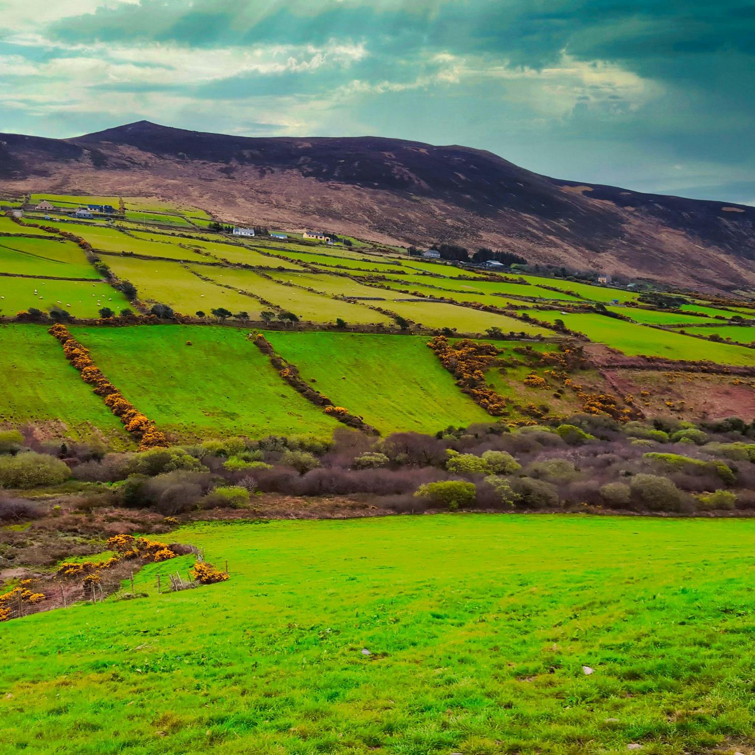 cover of episode An annual review of food production and farming in this country