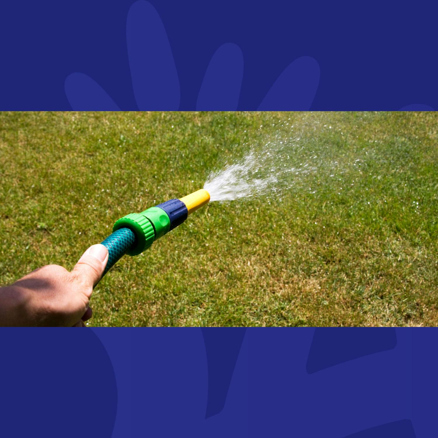 Gift Grub: Christy Moore’s Ode To Water Restrictions