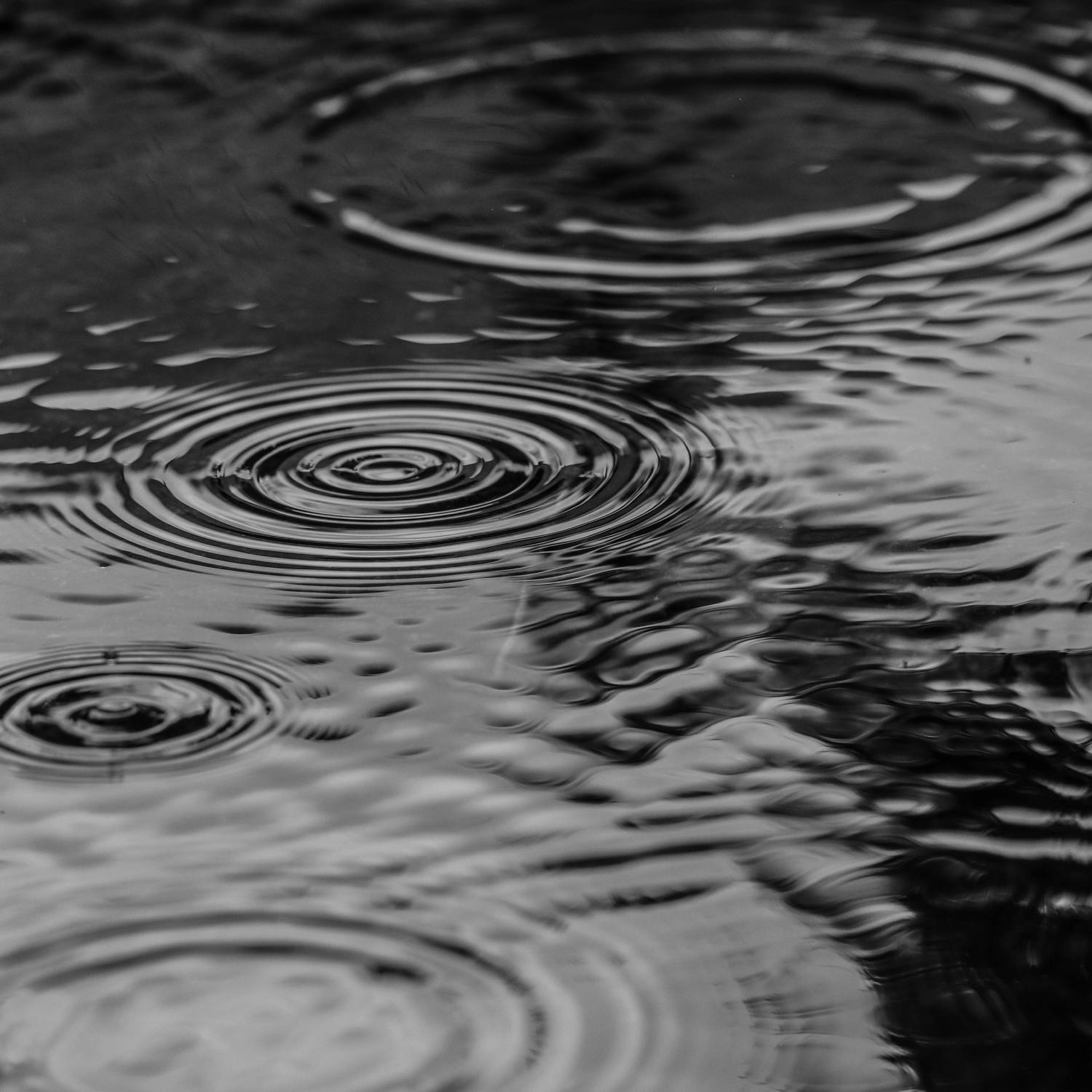 How has bad weather impacted farming? - Josh Crosbie Reports