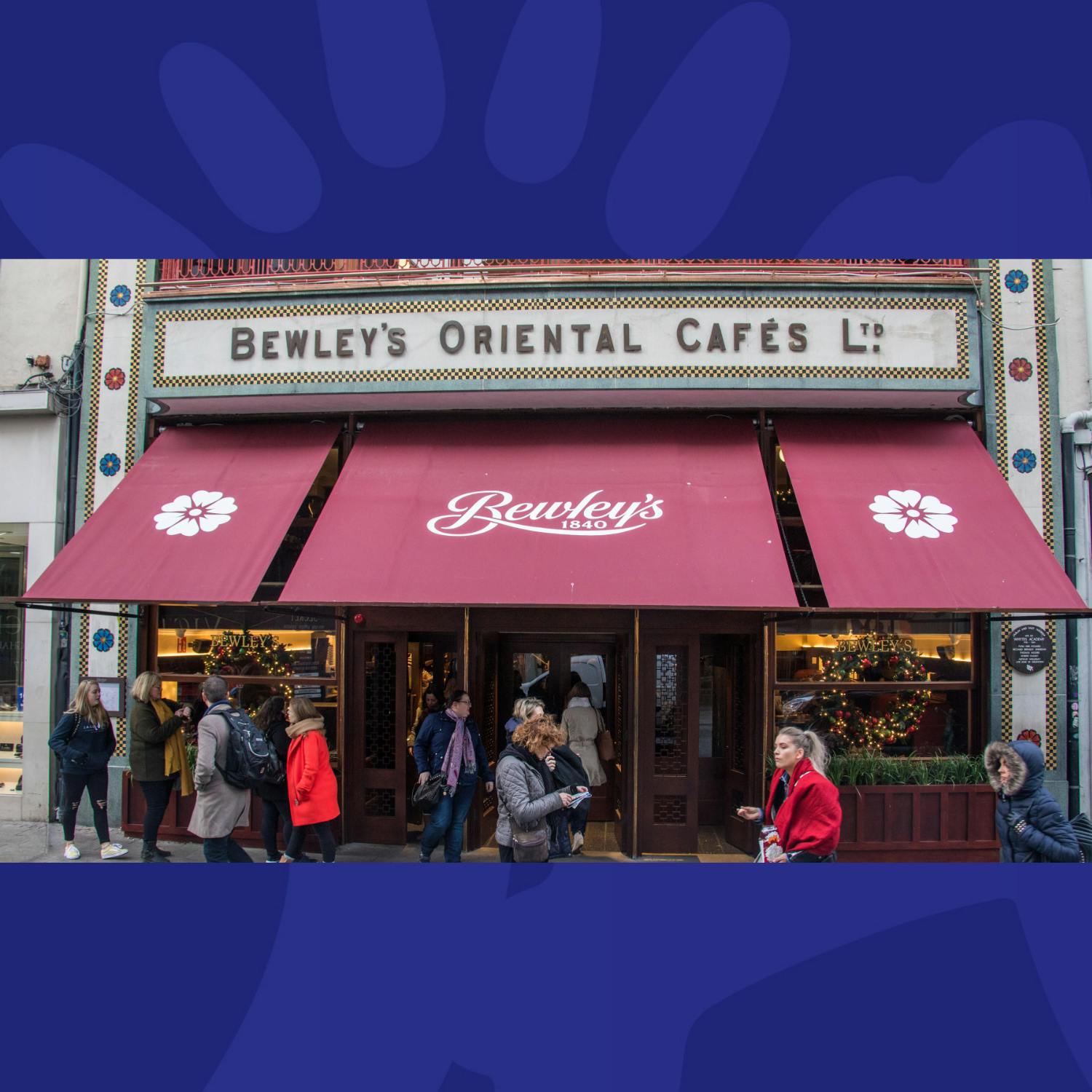 Hollywood Star Has A Bone To Pick With Bewley's Café episode artwork