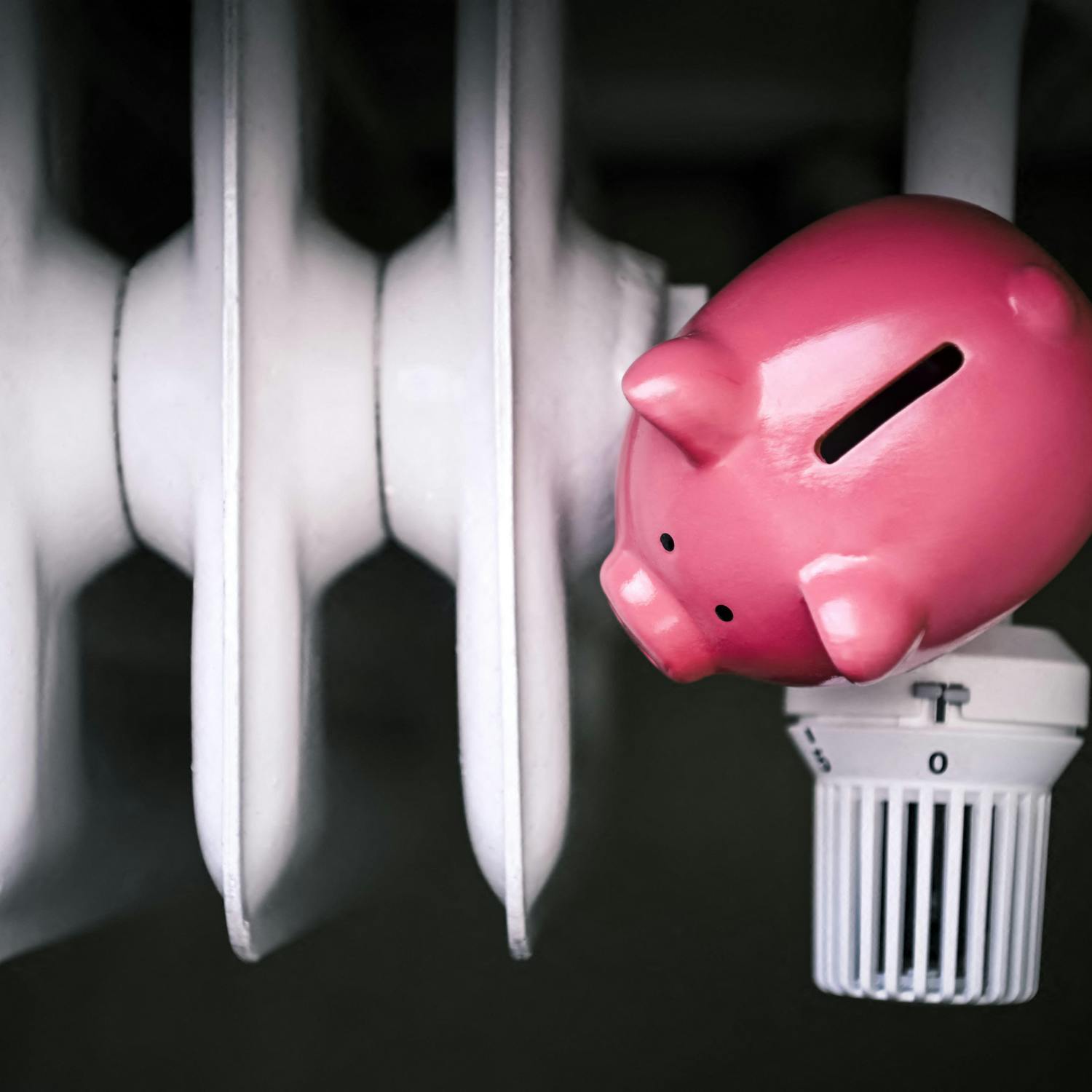 Going Green: How to keep your energy costs down?