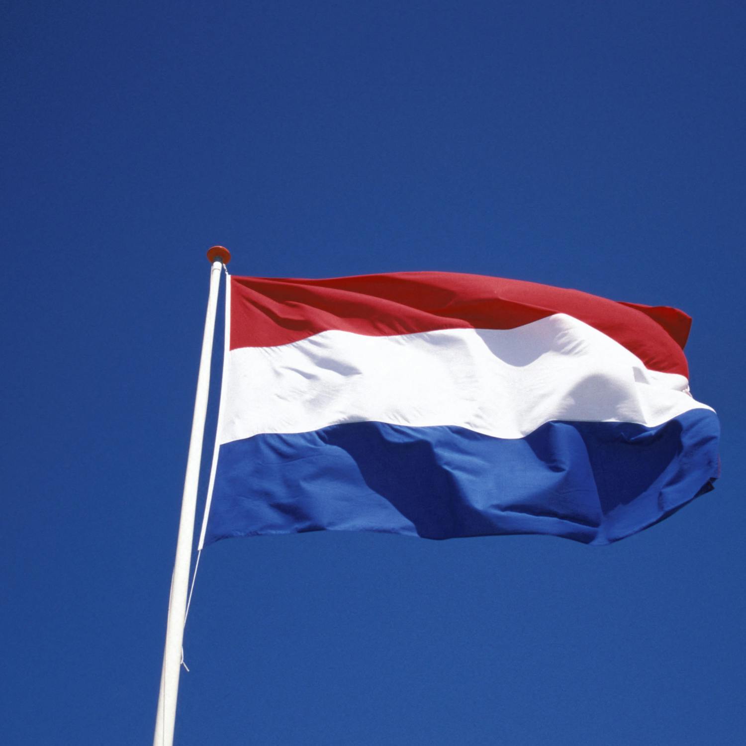 What can we expect in economic terms from the new Dutch government?