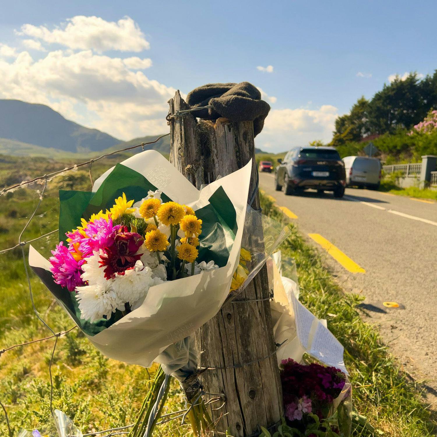 Remains found on Kerry farm have been identified as Michael Gaine