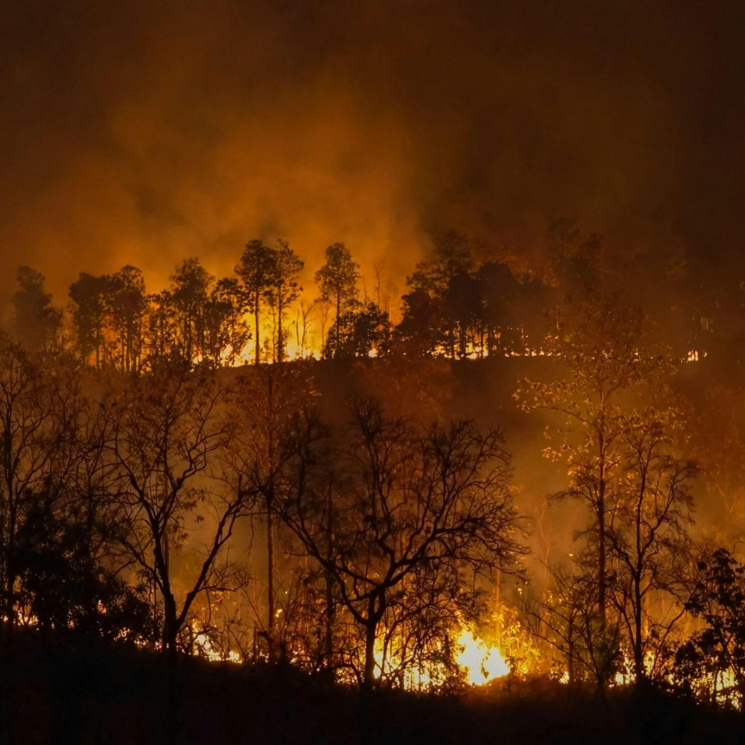 An update on wildfires on France and Spain