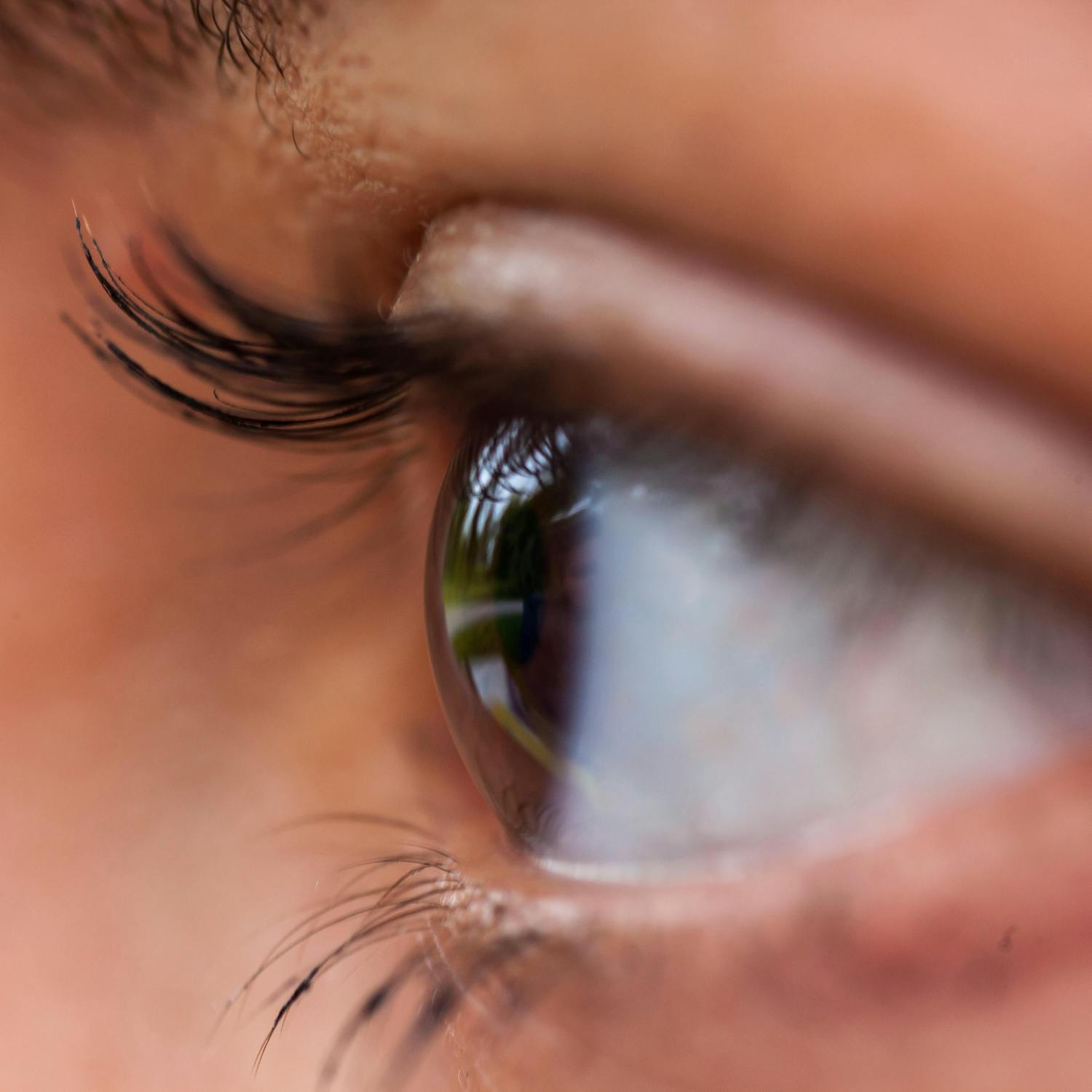 The World's first eye transplant in New York