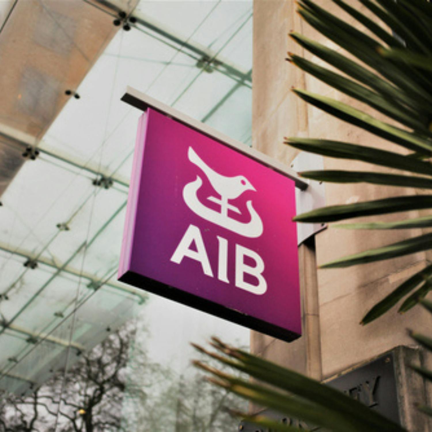 The findings of the AIB services PMI survey episode artwork