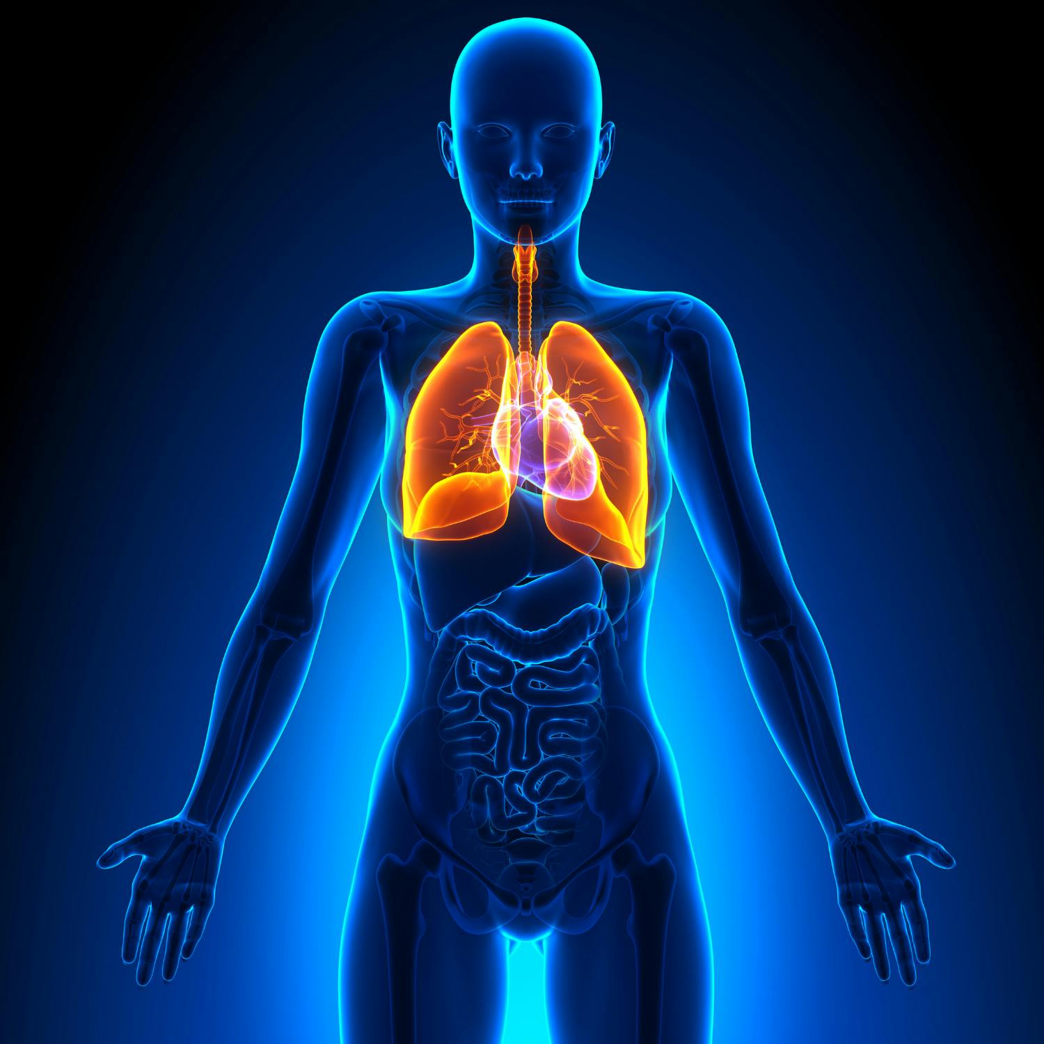 A €4.9 million lung cancer research programme launched