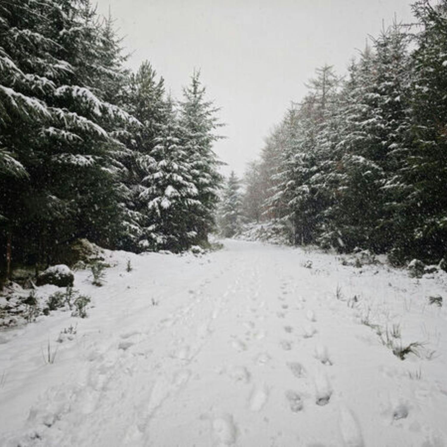 A status yellow weather warning remains in place for the entire country