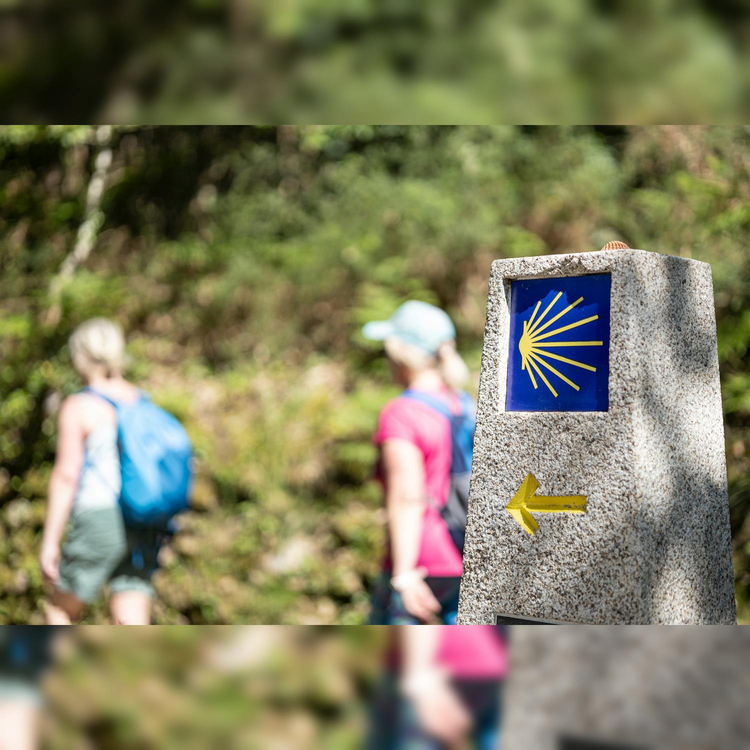 Walk this way....on the Camino episode artwork
