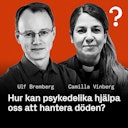Hur Kan Vi?