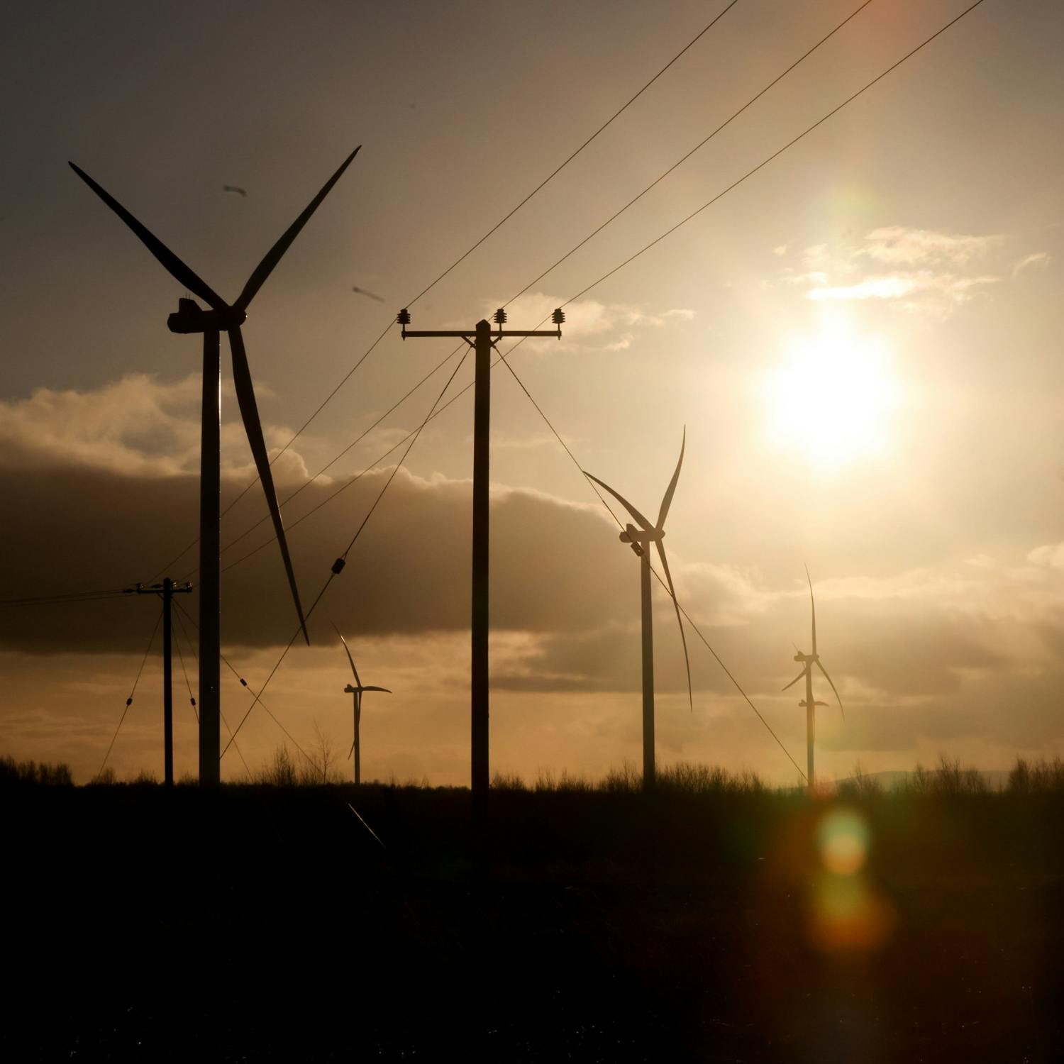 More than 4 out of 5 Irish people support moving away from fossil fuels