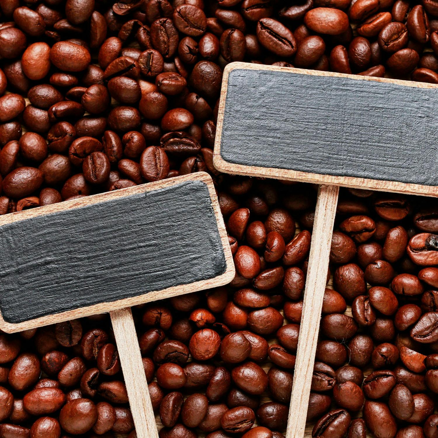 Are EU food labels  unfair to those with plant-based lifestyles?