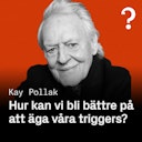 Hur Kan Vi?